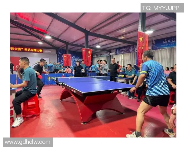 乒乓球运动的魅力与发展趋势探析及其对全民健身的重要影响 乒乓球运动的魅力与发展趋势探析及其对全民健身的重要影响