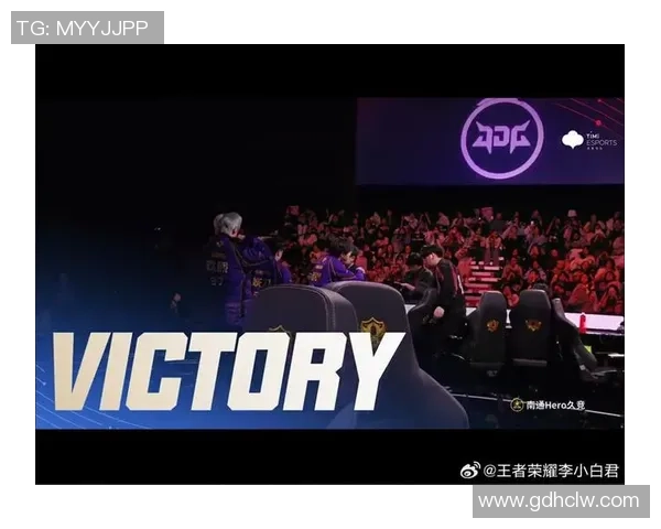 南京Hero久竞奋勇崛起展现电竞精神引领王者荣耀新时代风潮