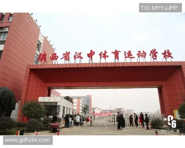 探秘当代足球运动员成长之路与技战术全面进化趋势解析新动态发展